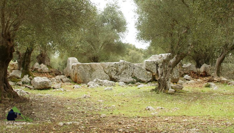 Κεφαλονιά topoguide