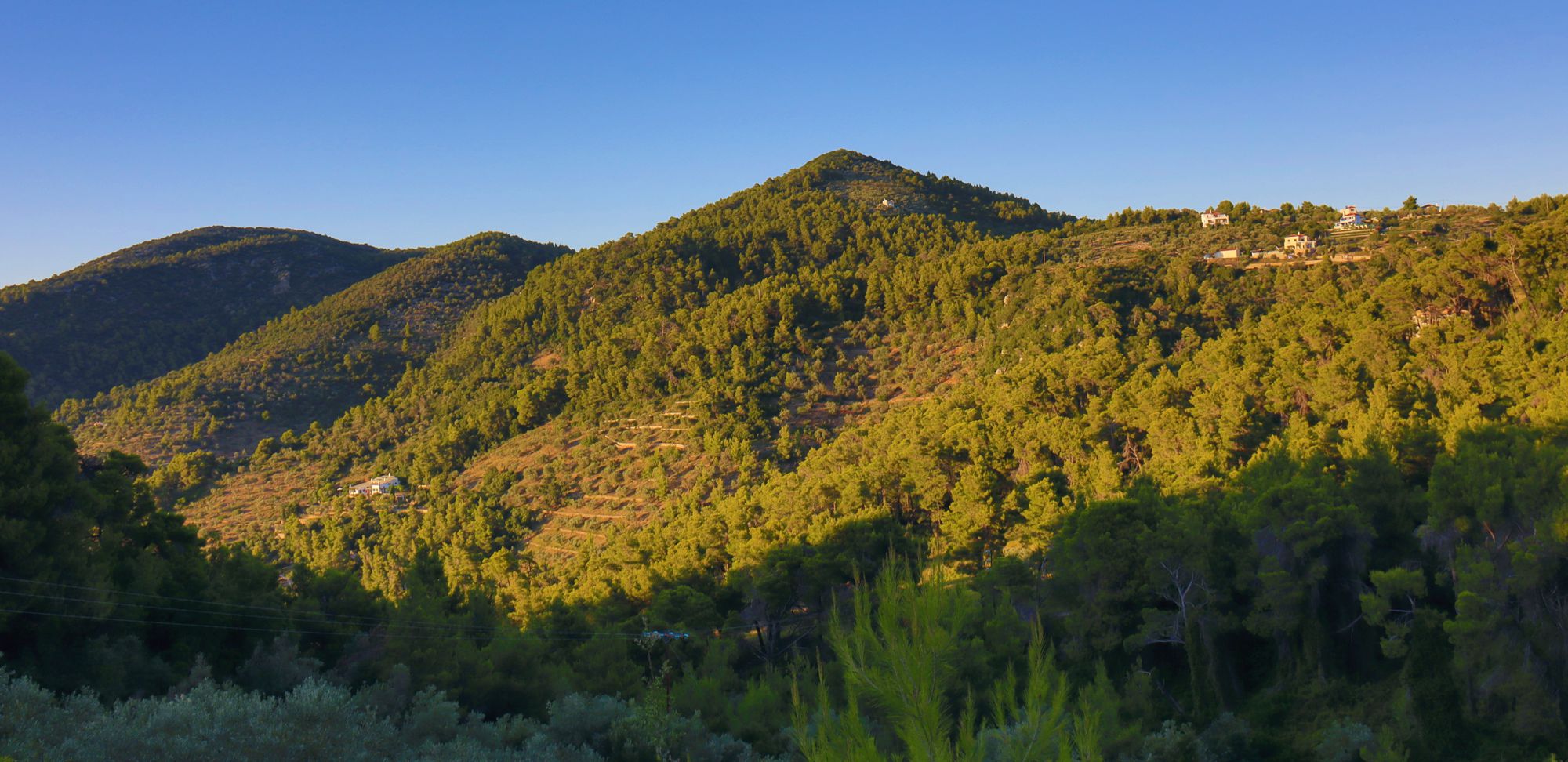 Alonnisos topoguide: Vegetation of Alonnisos