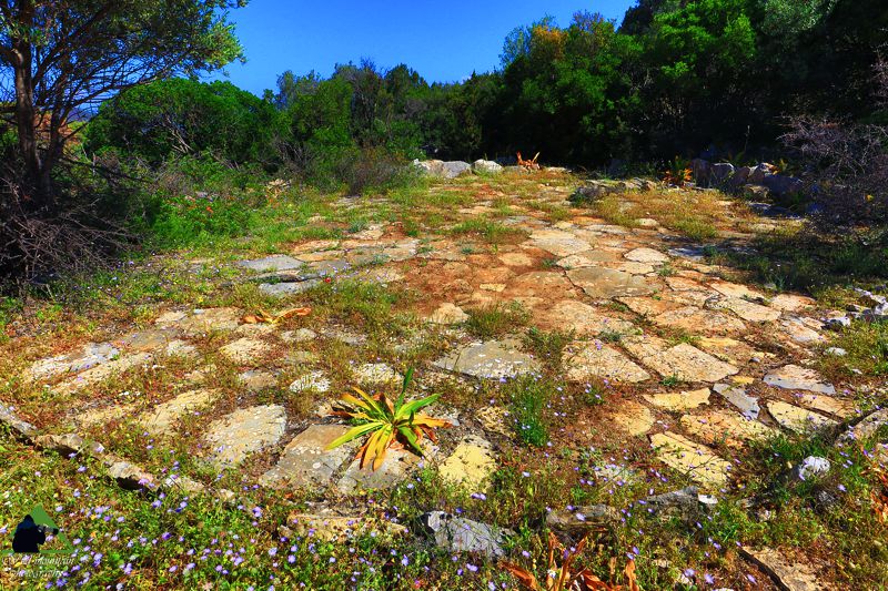 Πόρος-Τροιζηνία topoguide