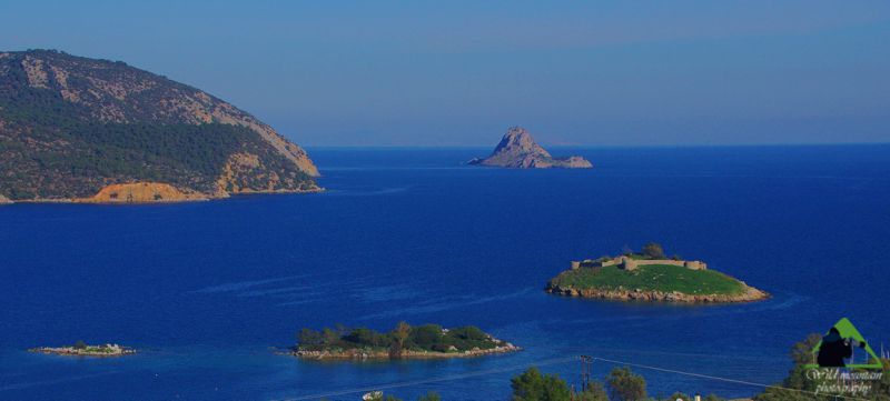 Πόρος-Τροιζηνία topoguide