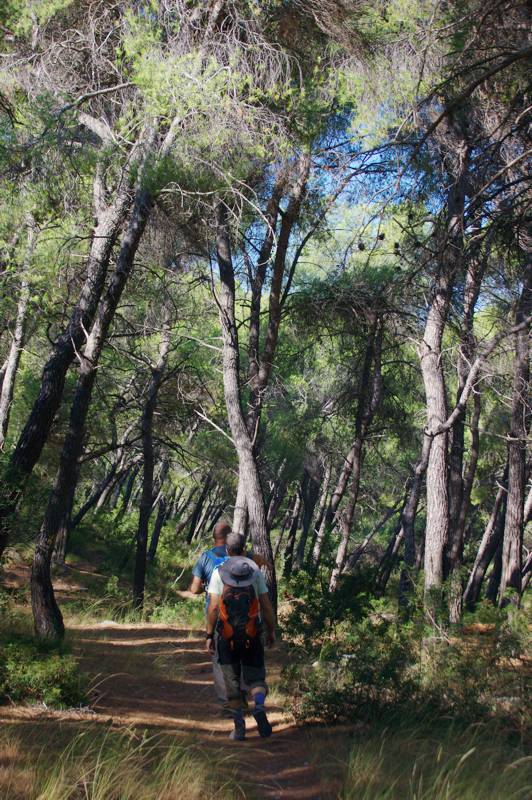 Μικρή Αττική topoguide