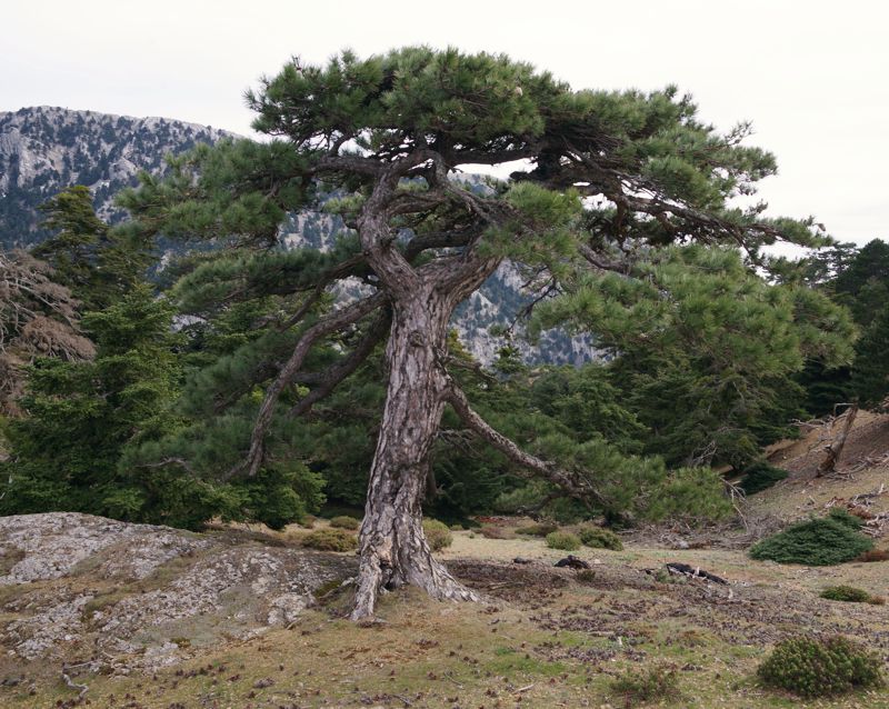 Γεράνεια topoguide
