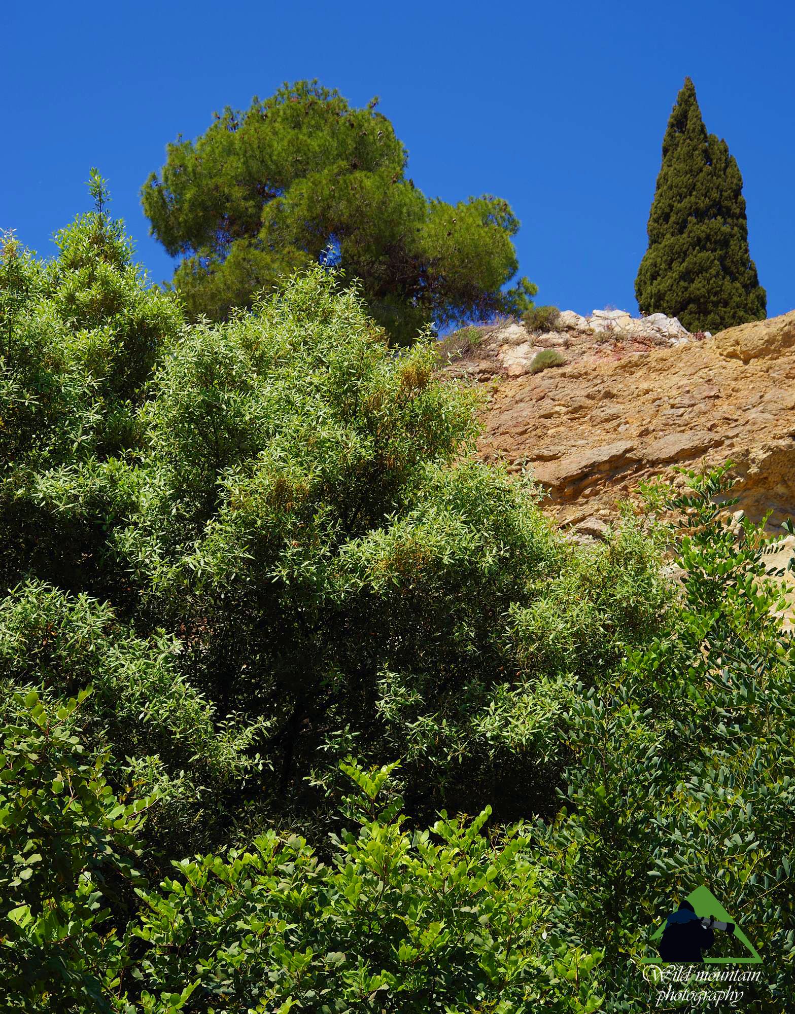 Λυκαβηττός topoguide