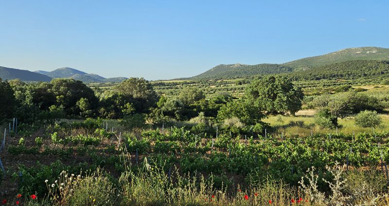 Ραμνούντα