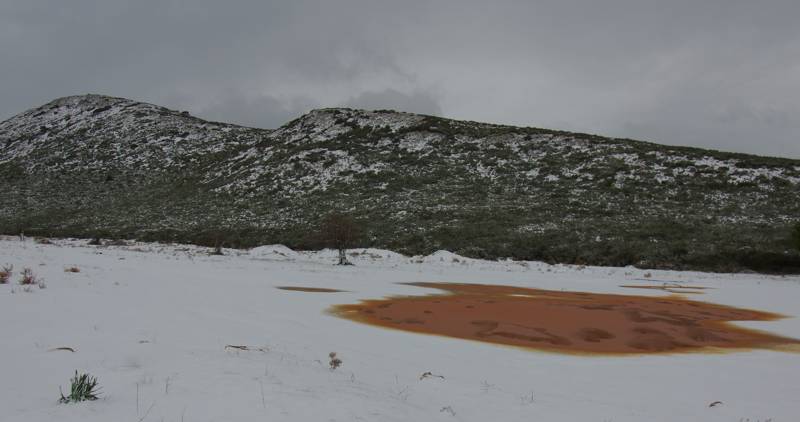 Σκάρπα