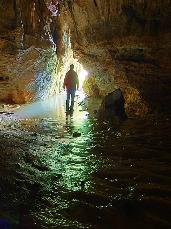 Best hikes on Mt Parnitha