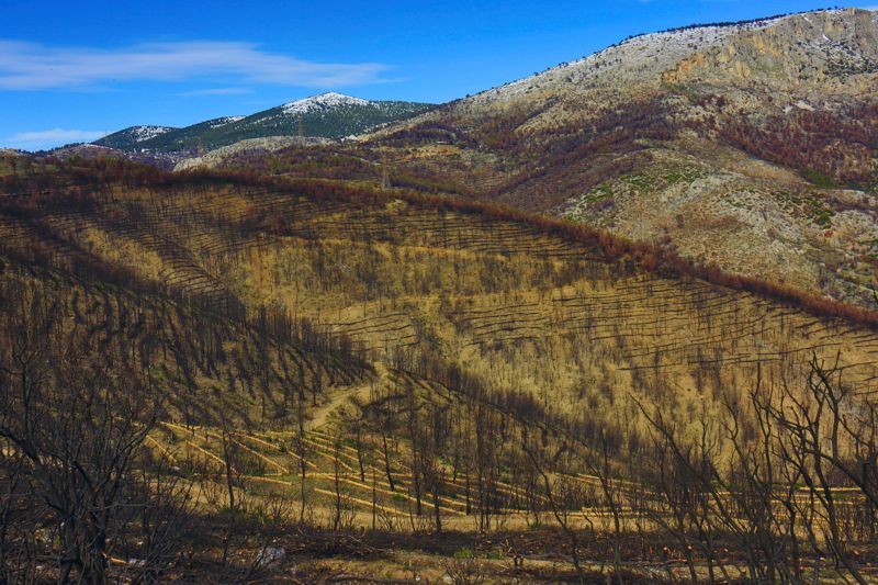 Πάρνηθα topoguide