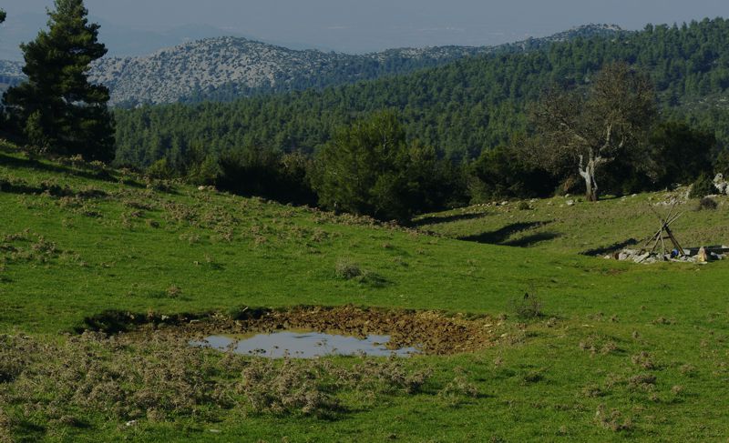 Πάρνηθα topoguide