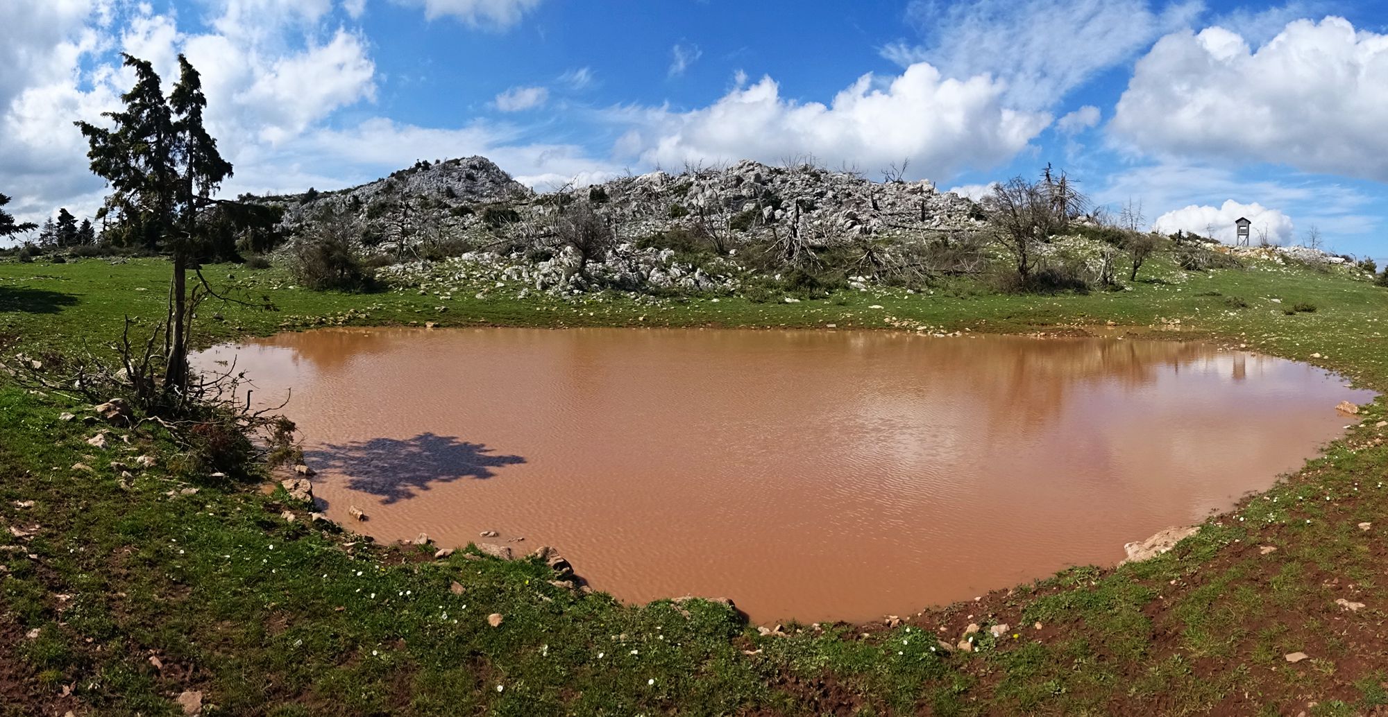 Λίμνες και υγρότοποι της Πάρνηθας: Η μεγάλη λούτσα Ρόγα στη Ντράσιζα