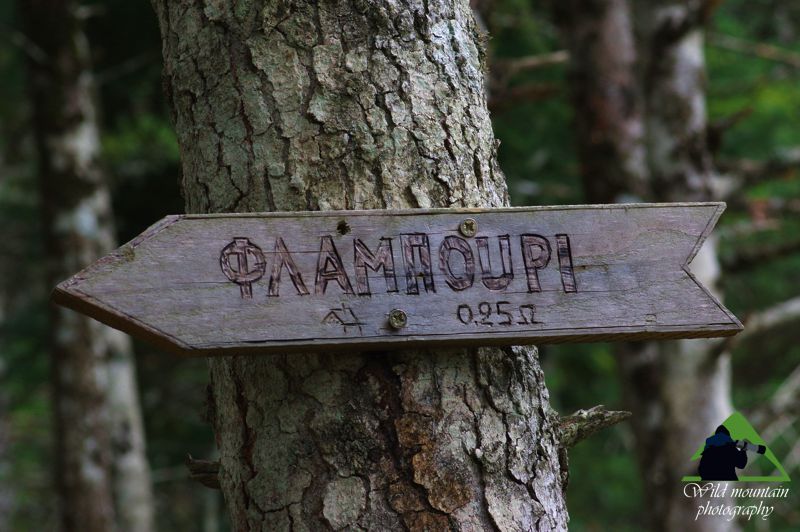 Πάρνηθα topoguide