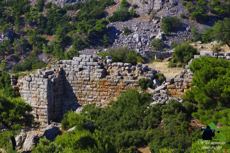 Πάρνηθα topoguide