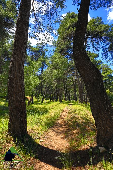 Πεντέλη topoguide