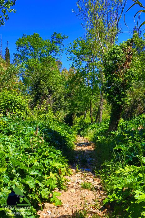 Πεντέλη topoguide