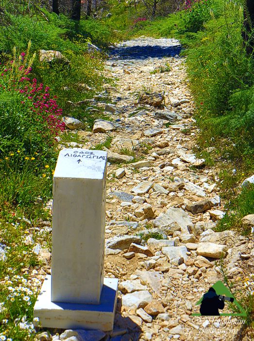Πεντέλη topoguide