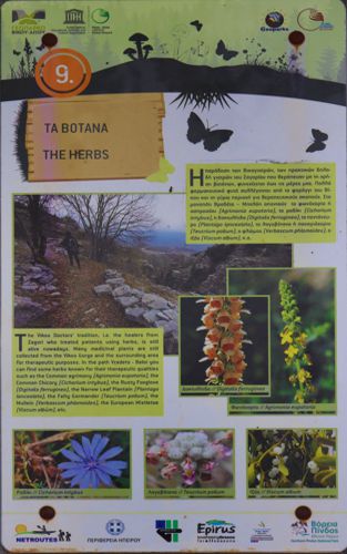 Ζαγόρι topoguide