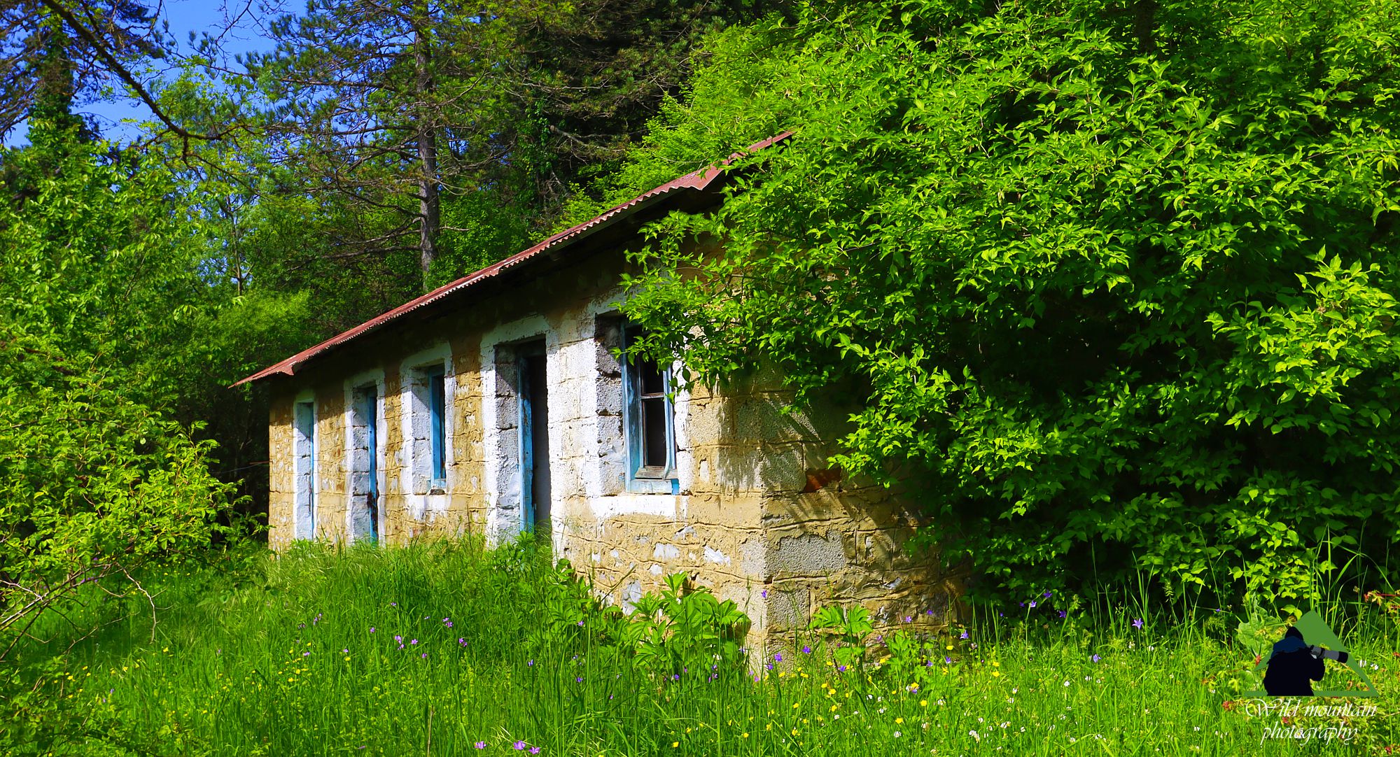 Ζαγόρι: Γυφτόκαμπος