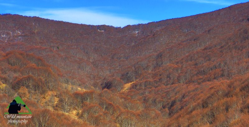Καστοριά topoguide