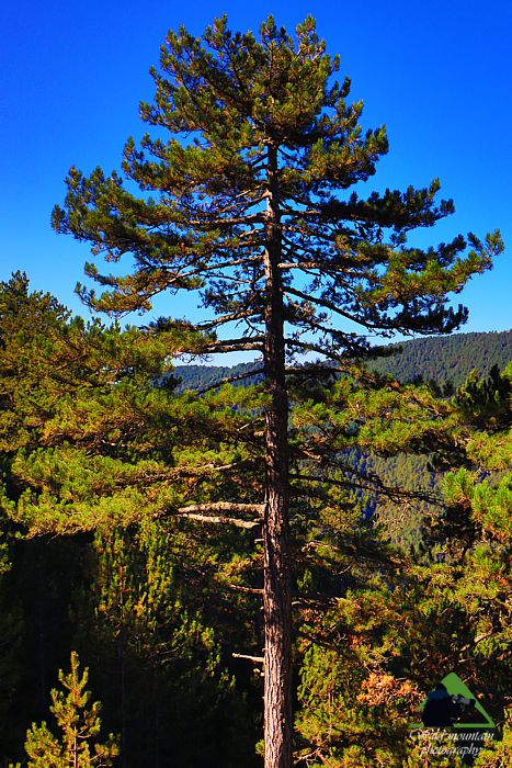 Όλυμπος topoguide