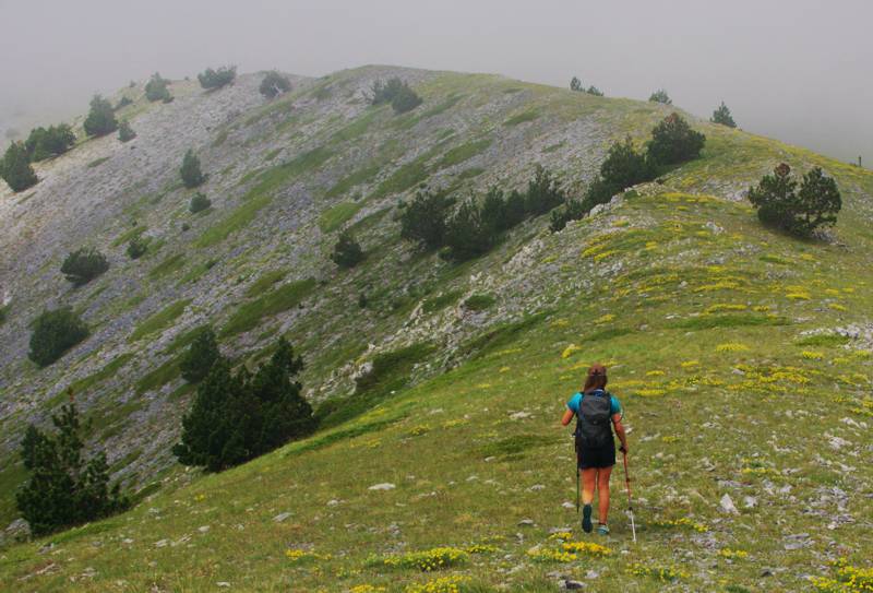 Όλυμπος topoguide
