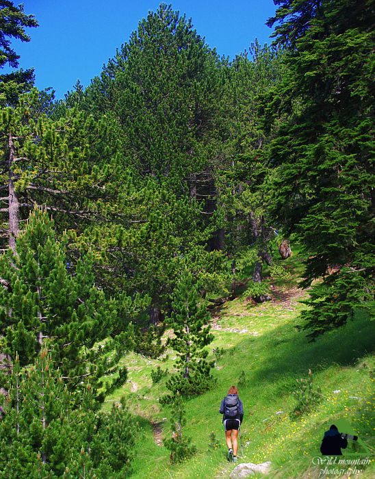 Όλυμπος topoguide