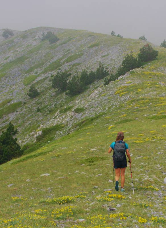 Όλυμπος topoguide