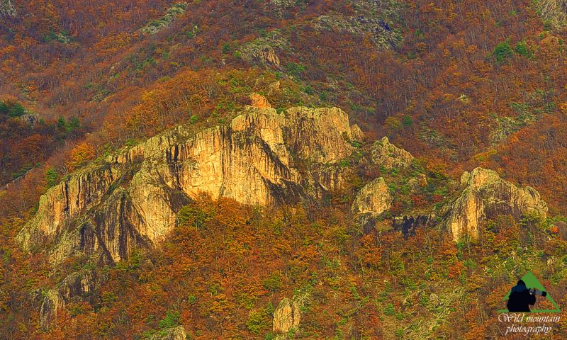 Ε. Π. Ροδόπης topoguide