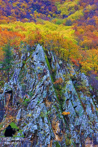 Ε. Π. Ροδόπης topoguide