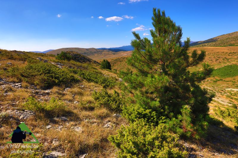 Βέρμιο topoguide