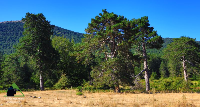 Βέρμιο topoguide