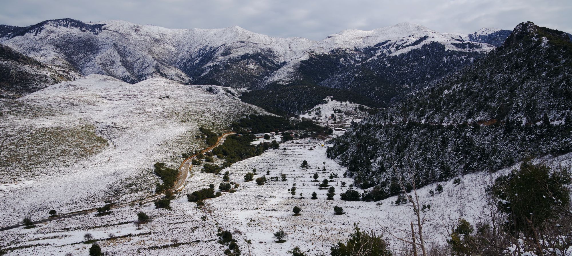 Μάνη-Αβία: Καλάθιον όρος. Η ομαλή ζώνη ζεύξης του Καλάθιου με τον Ταΰγετο, στην περιοχή των συνοικισμών Δέντρα, Πίσω Δέντρα και Ζέκια