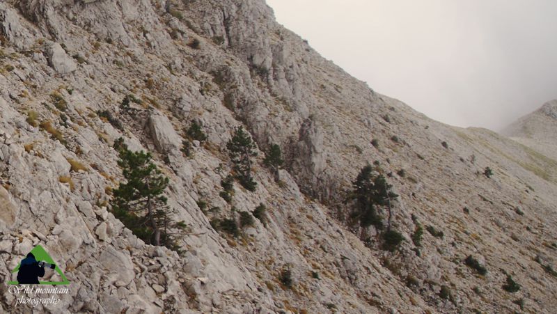 Ταΰγετος topoguide
