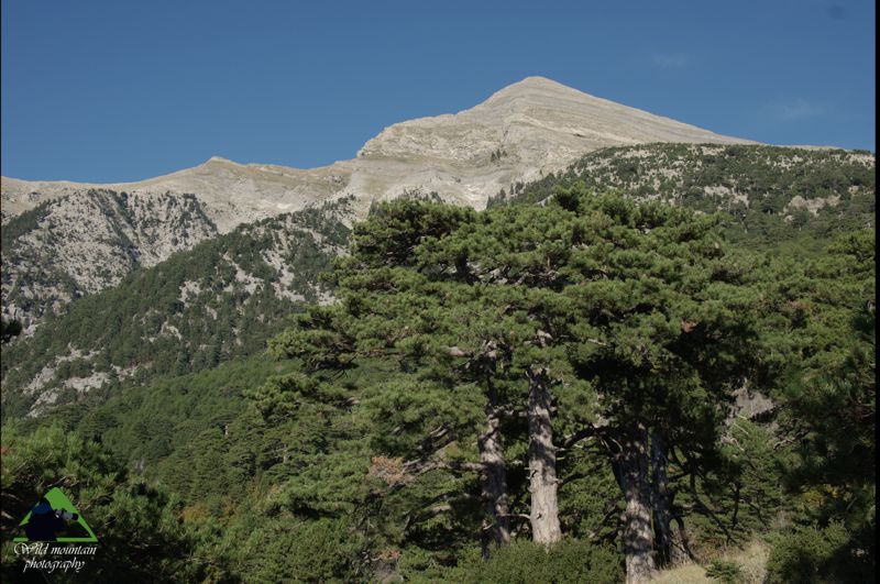 Ταΰγετος topoguide