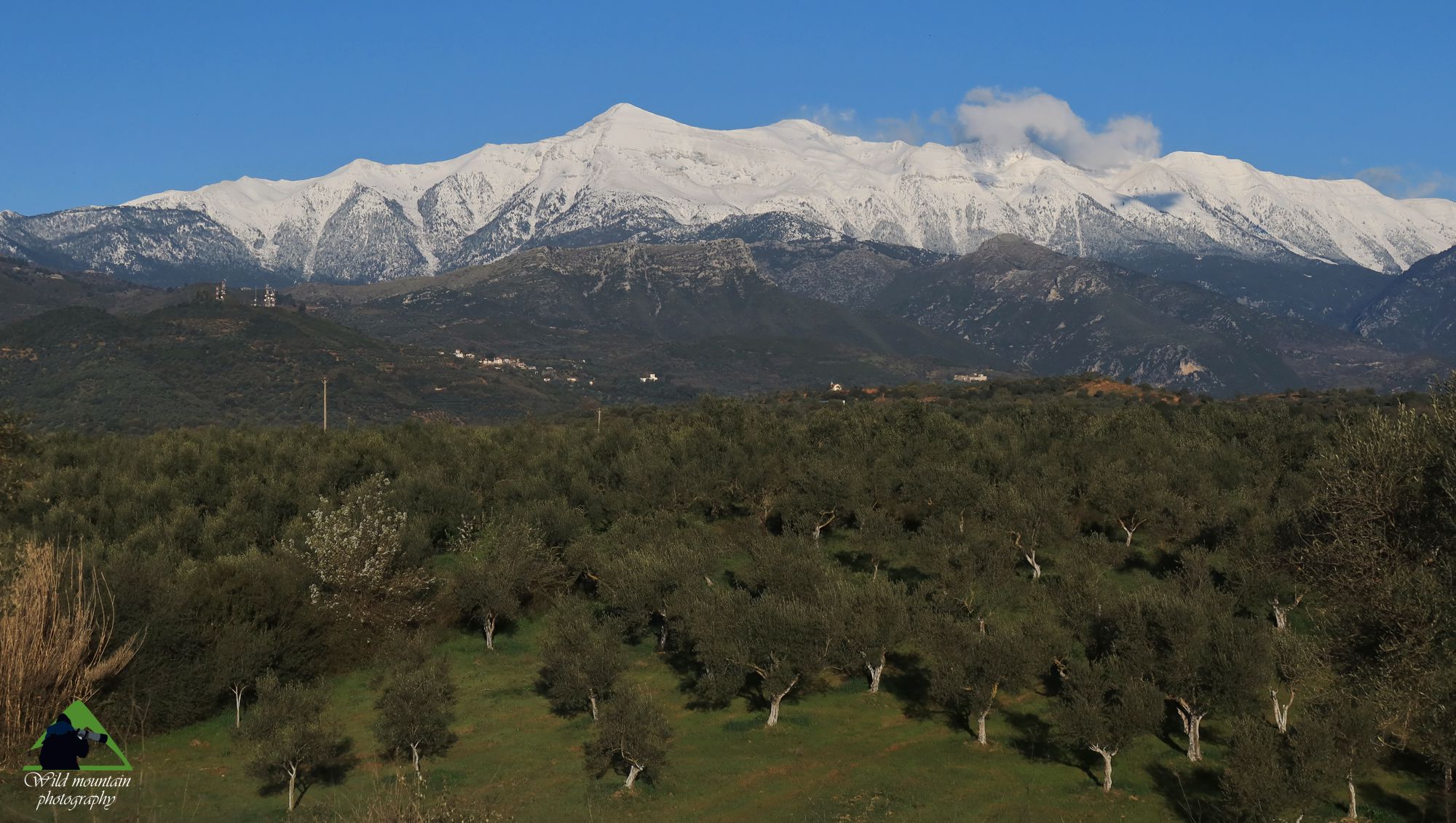 Οι βιότοποι του Ταΰγετου: Η ανατολική όψη του Ταΰγετου καλύπτεται από ελαιώνες, θαμvώvες και δάση της ημιορεινής ζώvης, συνεχίζει με μια ζώνη ορεινού δάσους και ολοκληρώνεται με τα εκτεταμένα πετρολίβαδα των κορυφών