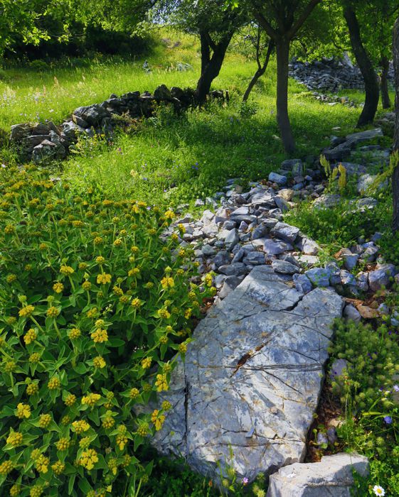 Αρκαδικά Μονοπάτια topoguide