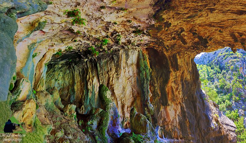 Κεντρική Εύβοια/Δίρφυς topoguide
