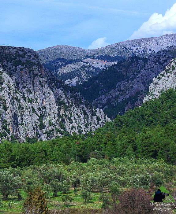 Κεντρική Εύβοια/Δίρφυς topoguide