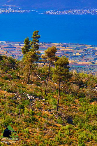 Κεντρική Εύβοια/Δίρφυς topoguide