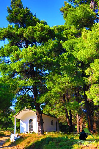 Κεντρική Εύβοια/Δίρφυς topoguide