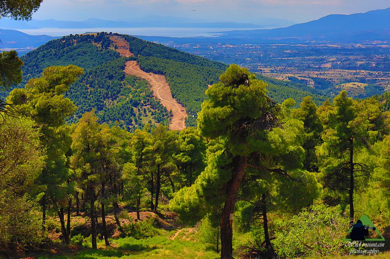Κεντρική Εύβοια/Δίρφυς topoguide