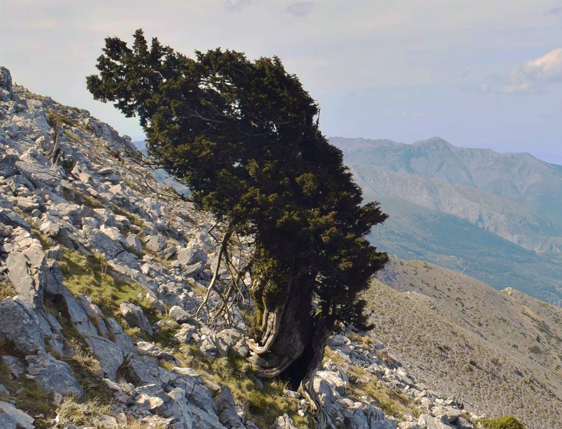 Κεντρική Εύβοια/Δίρφυς topoguide