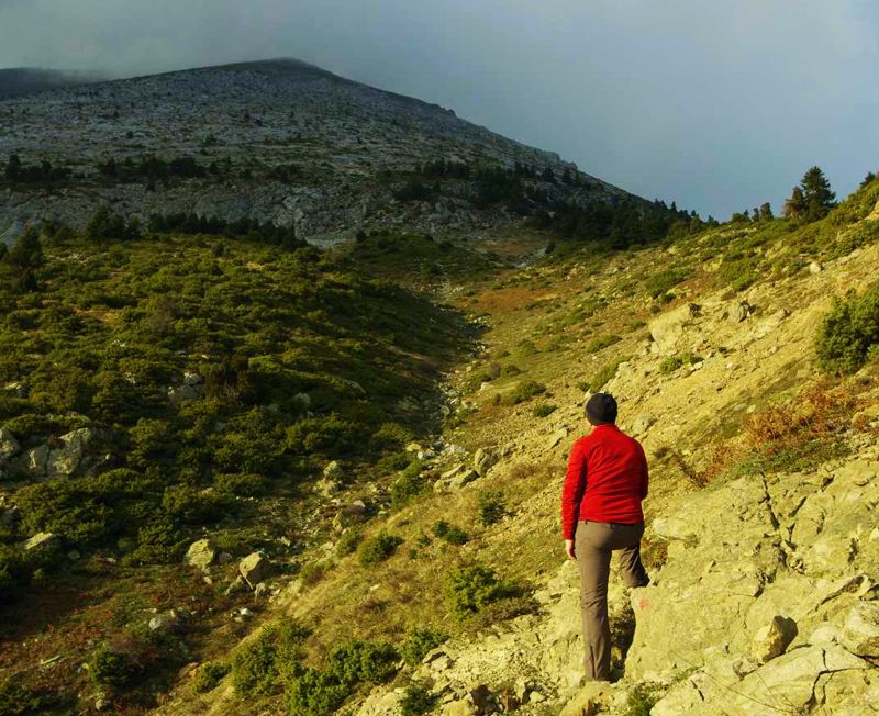 Κεντρική Εύβοια/Δίρφυς topoguide