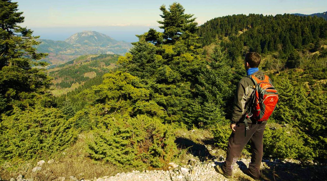 Δίρφυς, Δίκτυο Στενής, Διαδρομή Σ4