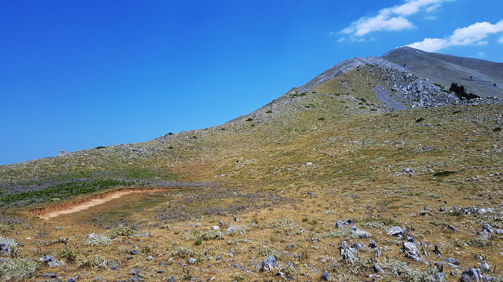 Δίρφυς, Κορυφή Δέλφι από τη Βόρεια κόψη