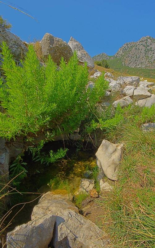 Ελικώνας topoguide: Η πηγή Αγανίπη στο χώρο του ιερού των Μουσών
