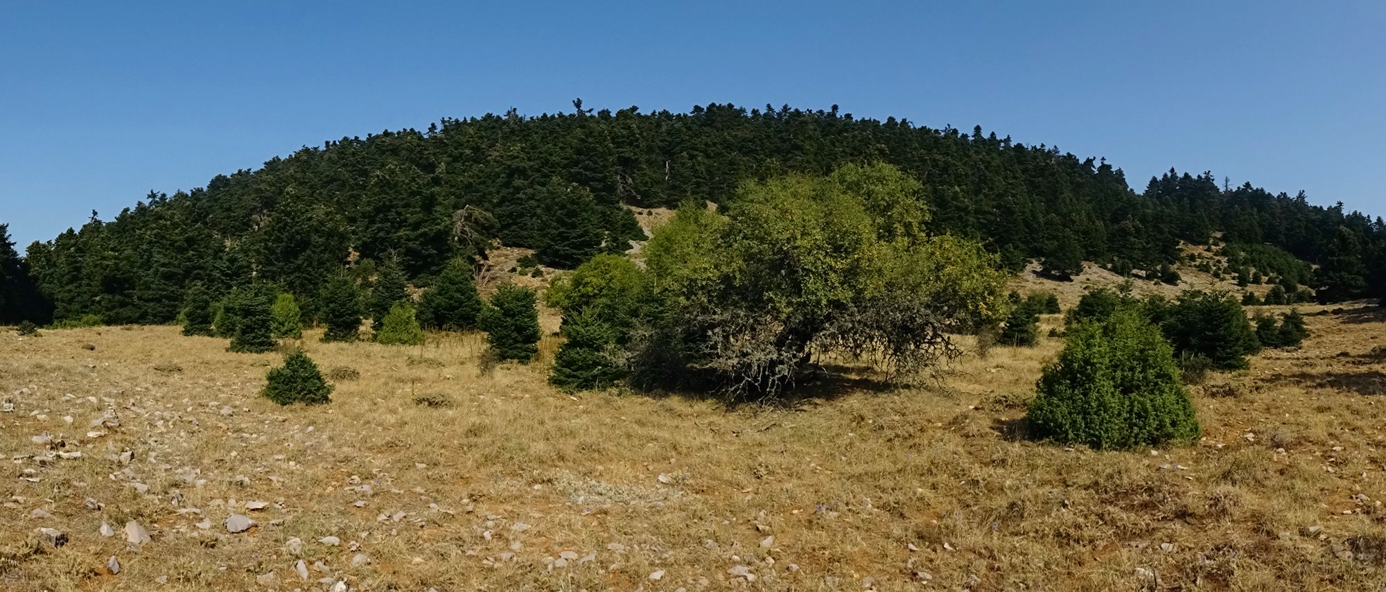 Μεγάλη Λούτσα: Διαδρομή 3