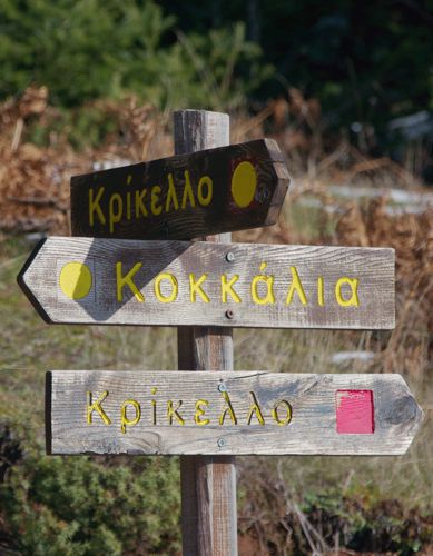 Κοκκάλια-Οξιά: Ανάβαση στην κορυφή της Χελιδώνας