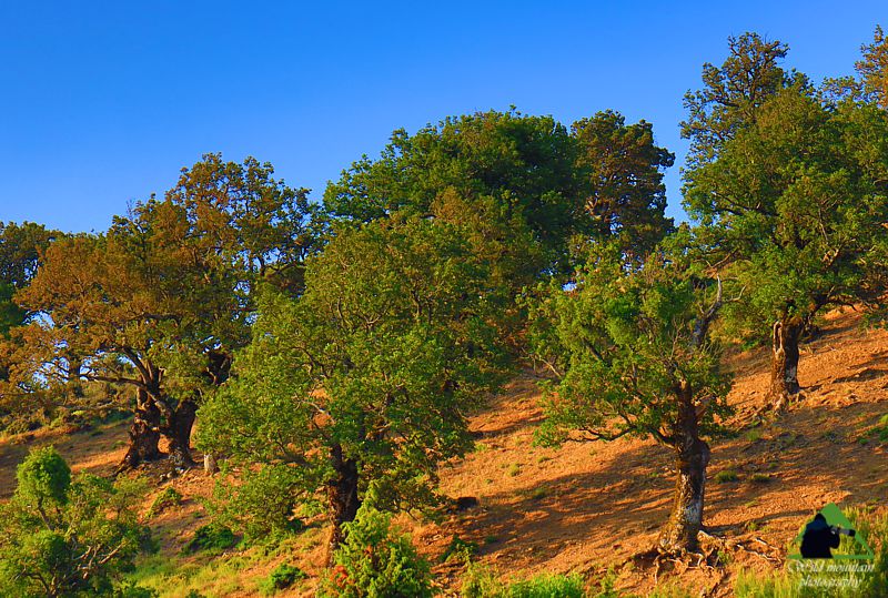 Βόρεια Εύβοια topoguide
