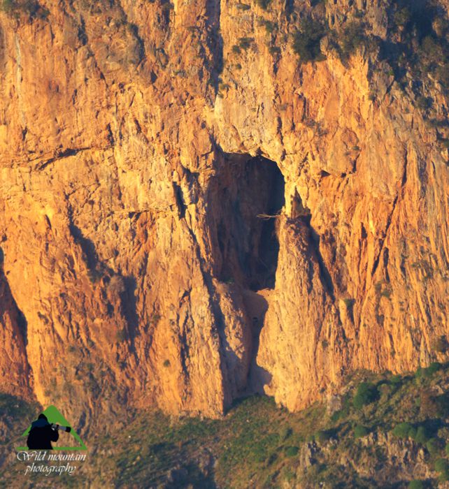 Παρνασσός topoguide