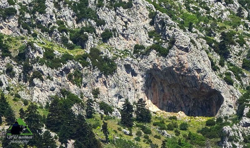 Παρνασσός topoguide