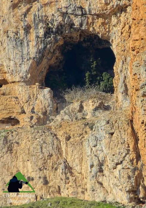 Παρνασσός topoguide
